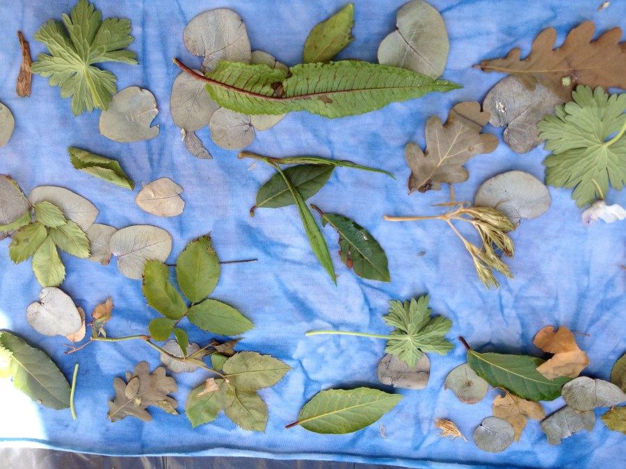 EcoPrint-indigo-jersey