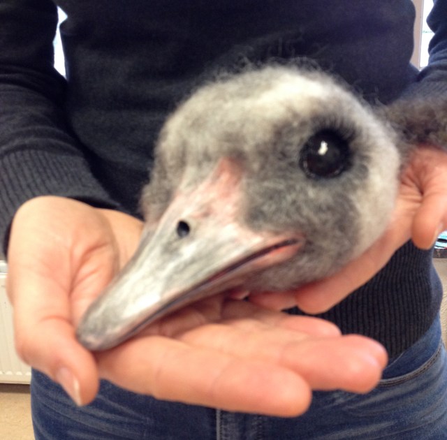 Belle-creatief-zorgatelier-Oisterwijk