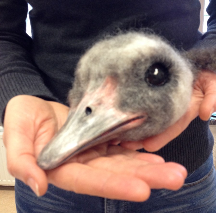 Belle-creatief-zorgatelier-Oisterwijk