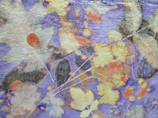 Ecoprint Mordant Botanical Dye plantaardig verven