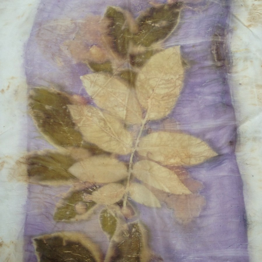 2 Ecoprint walnut natural dye logwood blanket