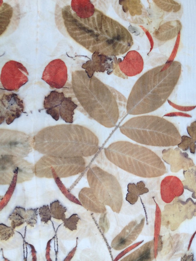 6 nieuwe beitsmiddel