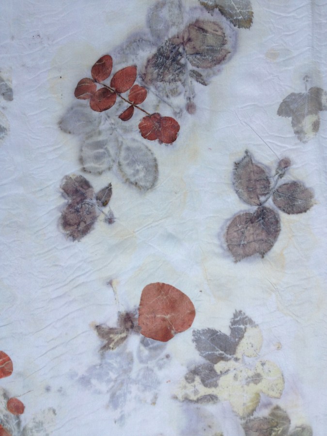 9 ecoprint rose detail