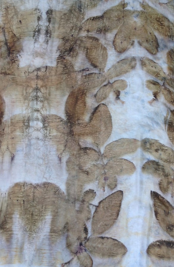 EcoPrint 10 Walnut Carla van Belle