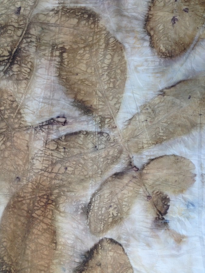 10 ecoprint walnut indigo