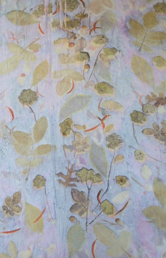 ecoprint cochenille dye