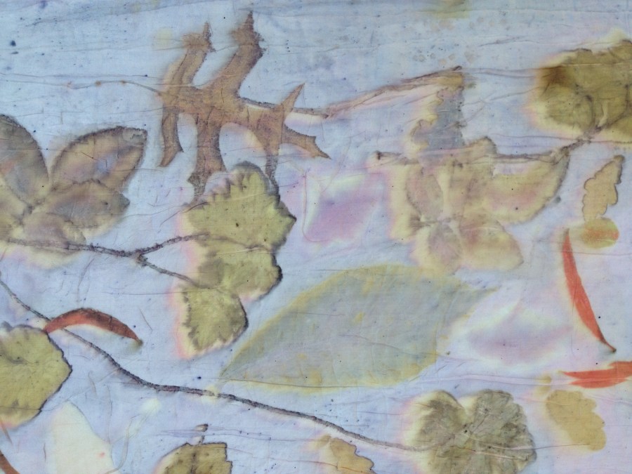 EcoPrint Oak Geranium Roos Rose Carla-van-Belle