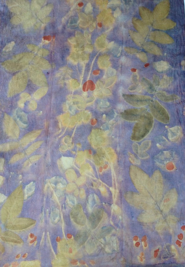 Ecoprint Natural Dye 14 Carla-van-Belle