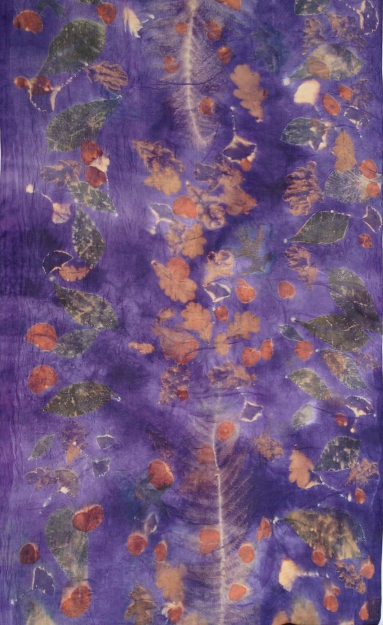 EcoPrint , workshop EcoPrint