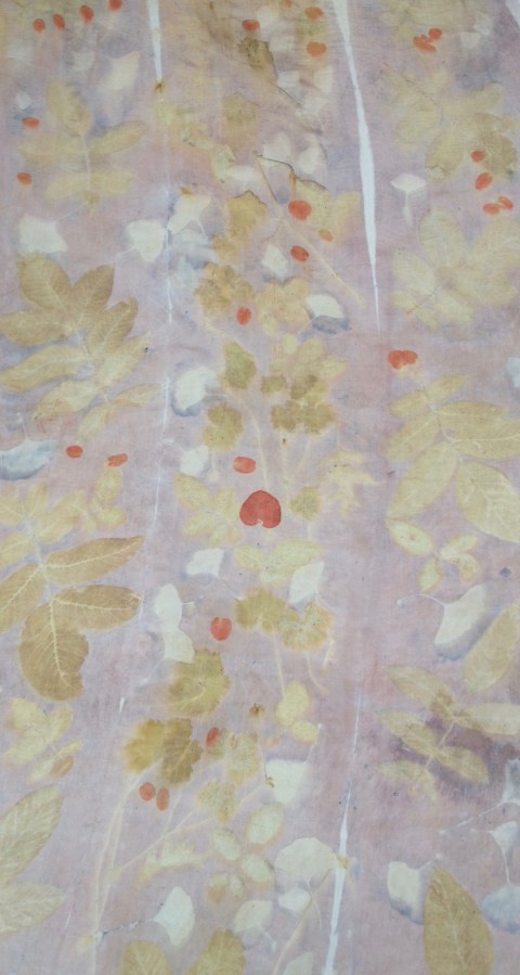 EcoPrint natural dye Gingko