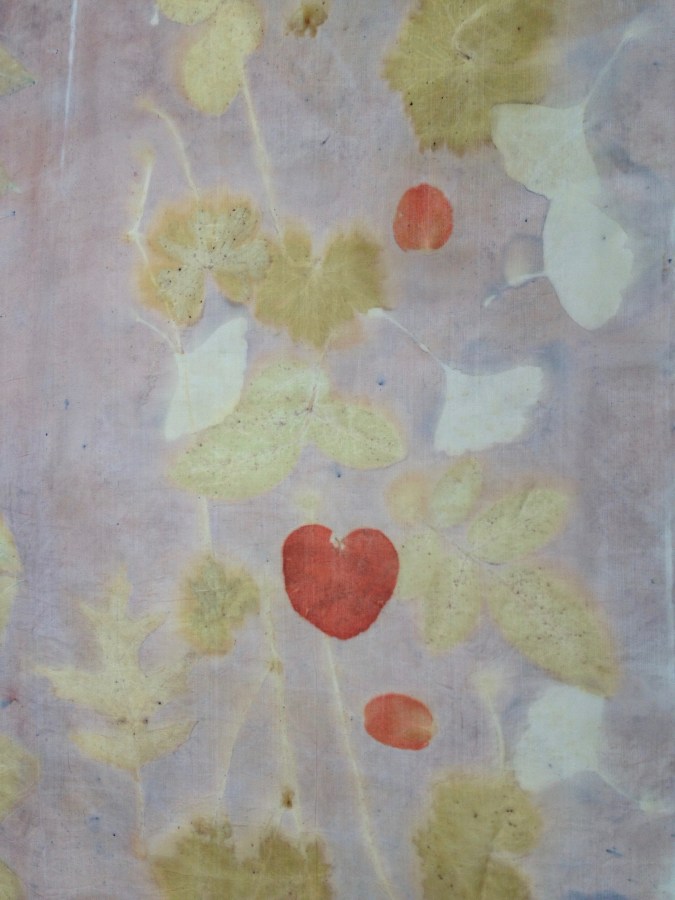 EcoPrint bladeren afdrukken