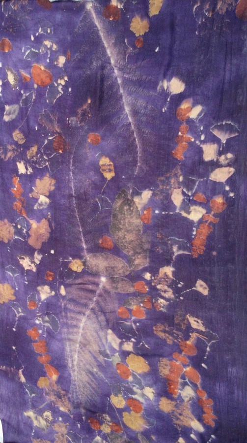 ecoprint logwood blanket