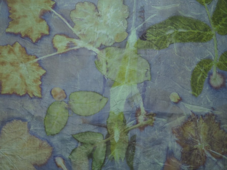 Ecoprinting all day long