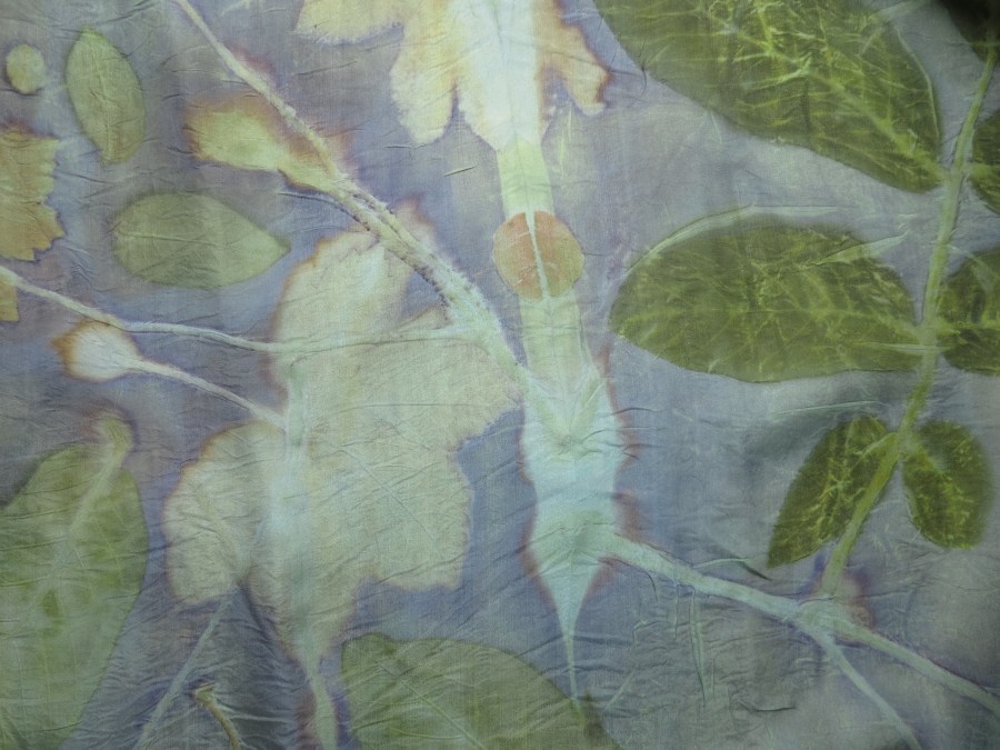 blauwhoutdeken op wouw en indigo