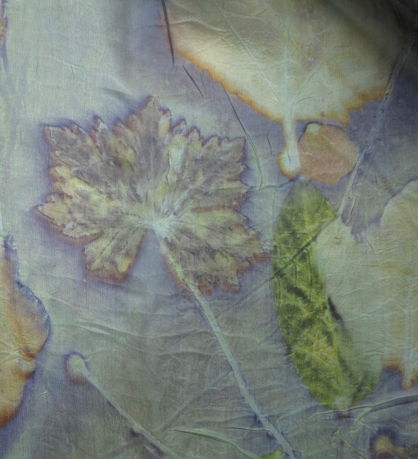 printing with geranium