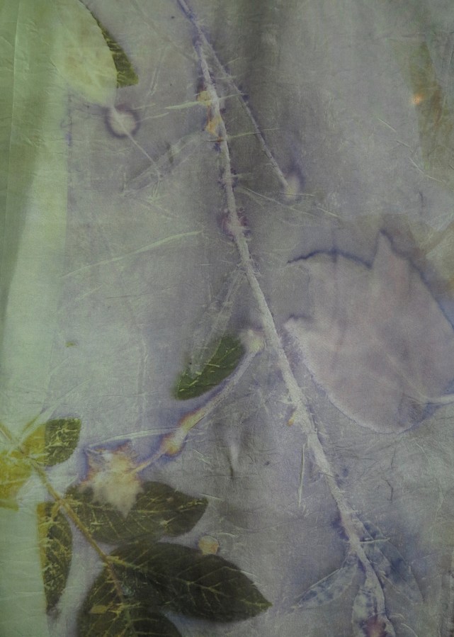 blauwhout kleurdeken