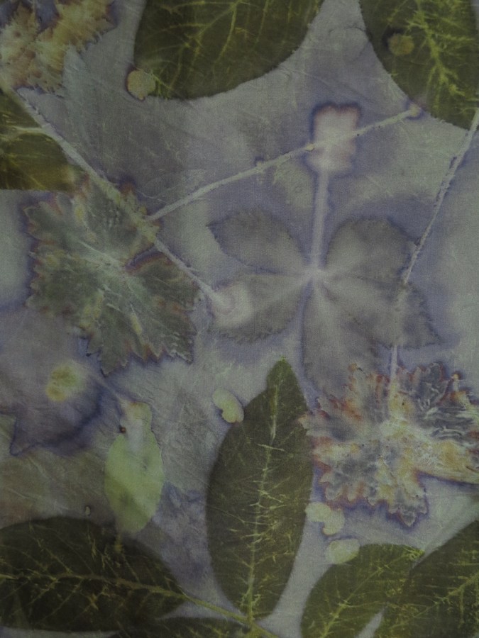 wingerdblad EcoPrinten