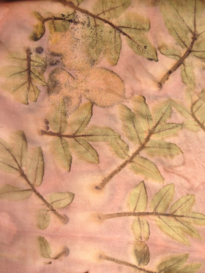 ecoprint walnut madder