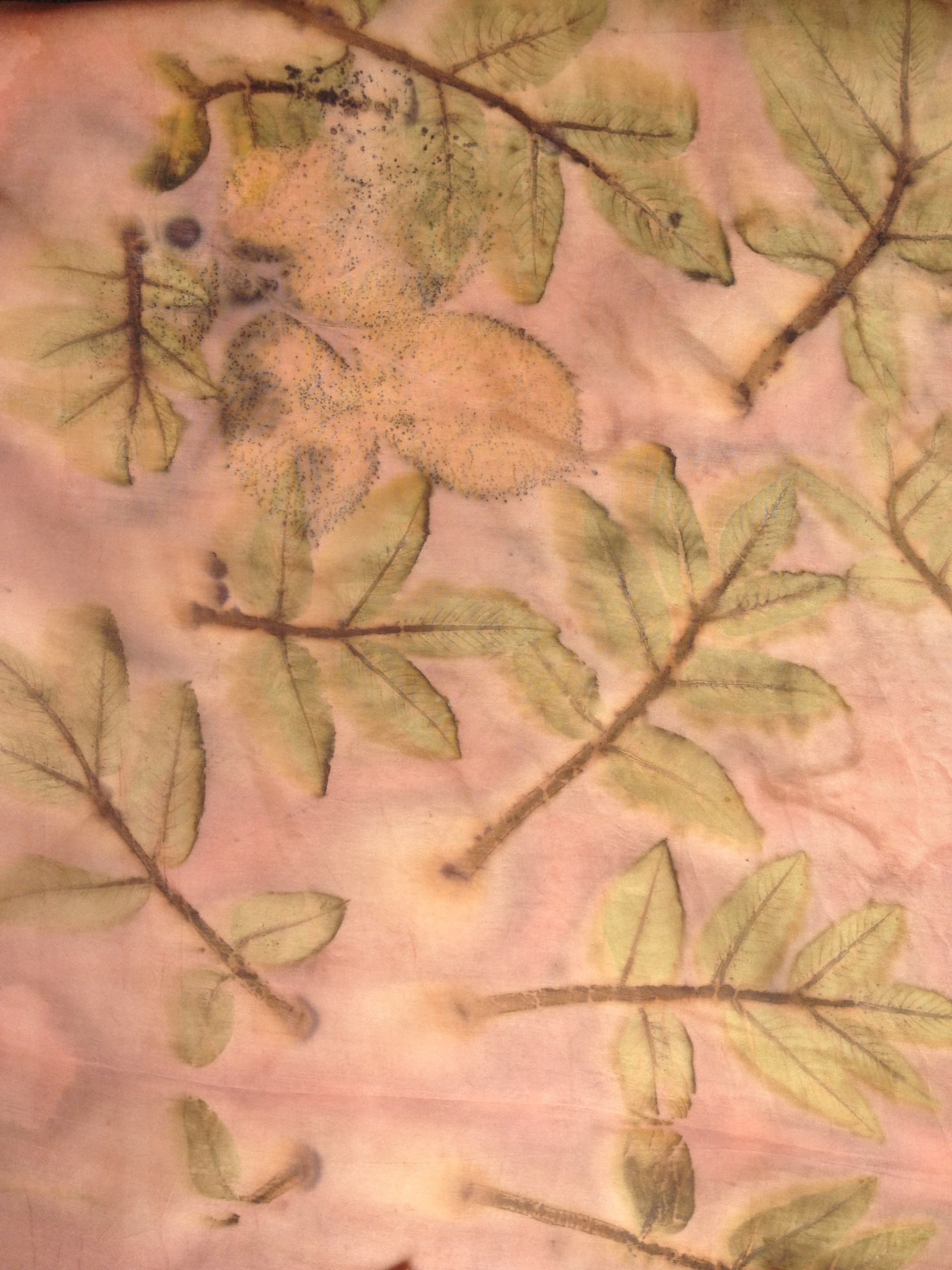 ecoprint walnut madder