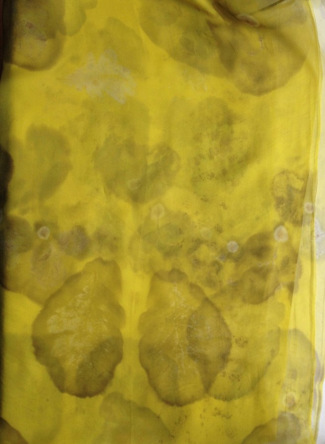 chiffon weld wouw ecoprint plantaardig verven