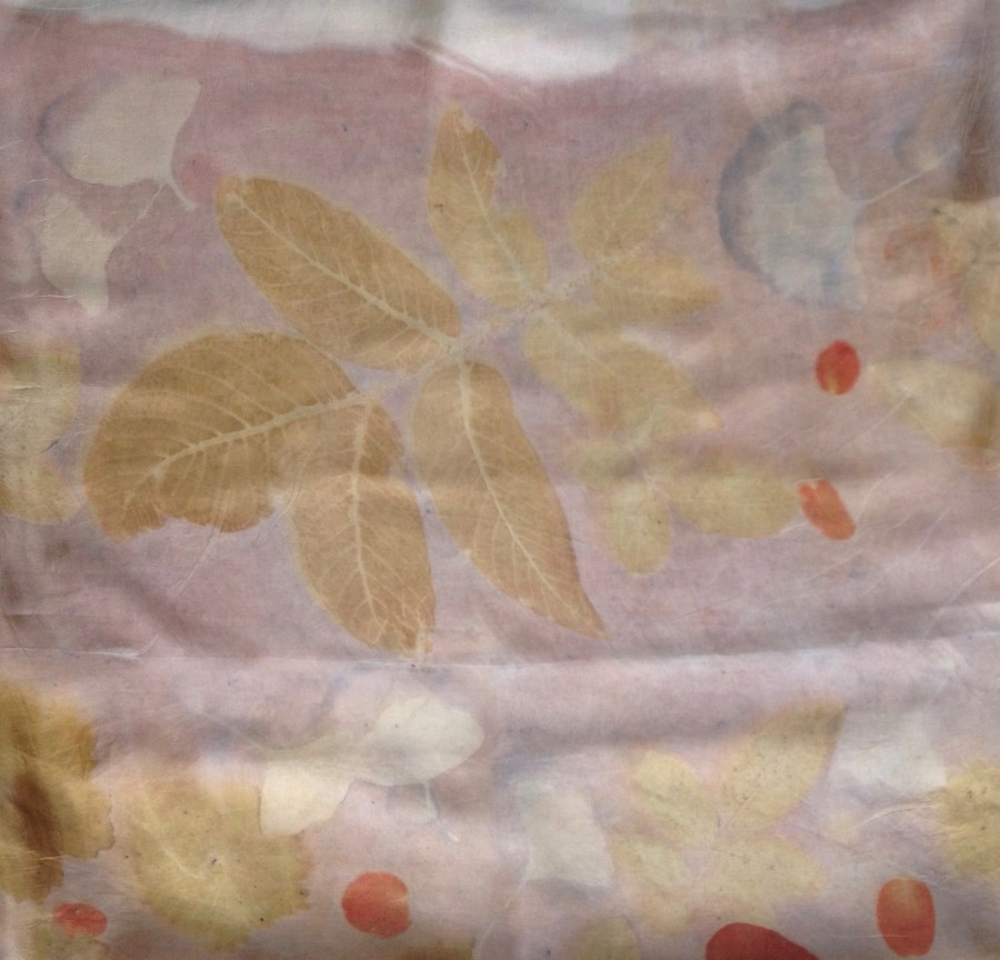 ginkgo walnoot ecoprint