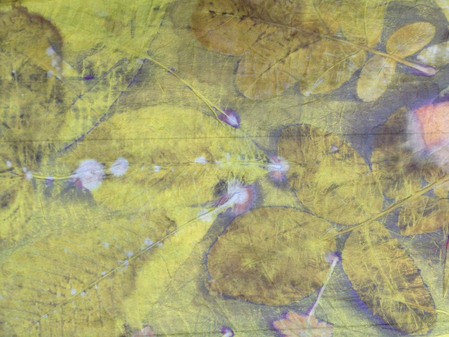 Wouw indigo ecoprint