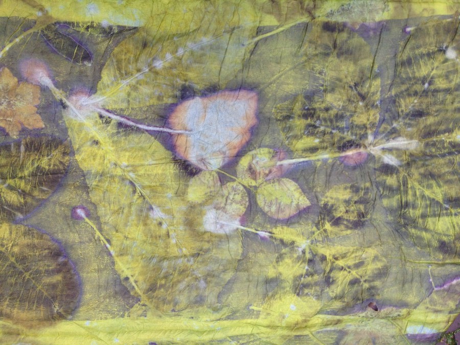 onderwaterwereld ecoprint door Ingrid