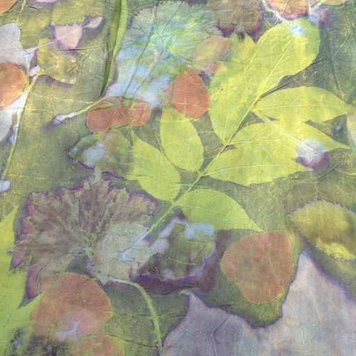 Ecoprint silk weld indigo logwood