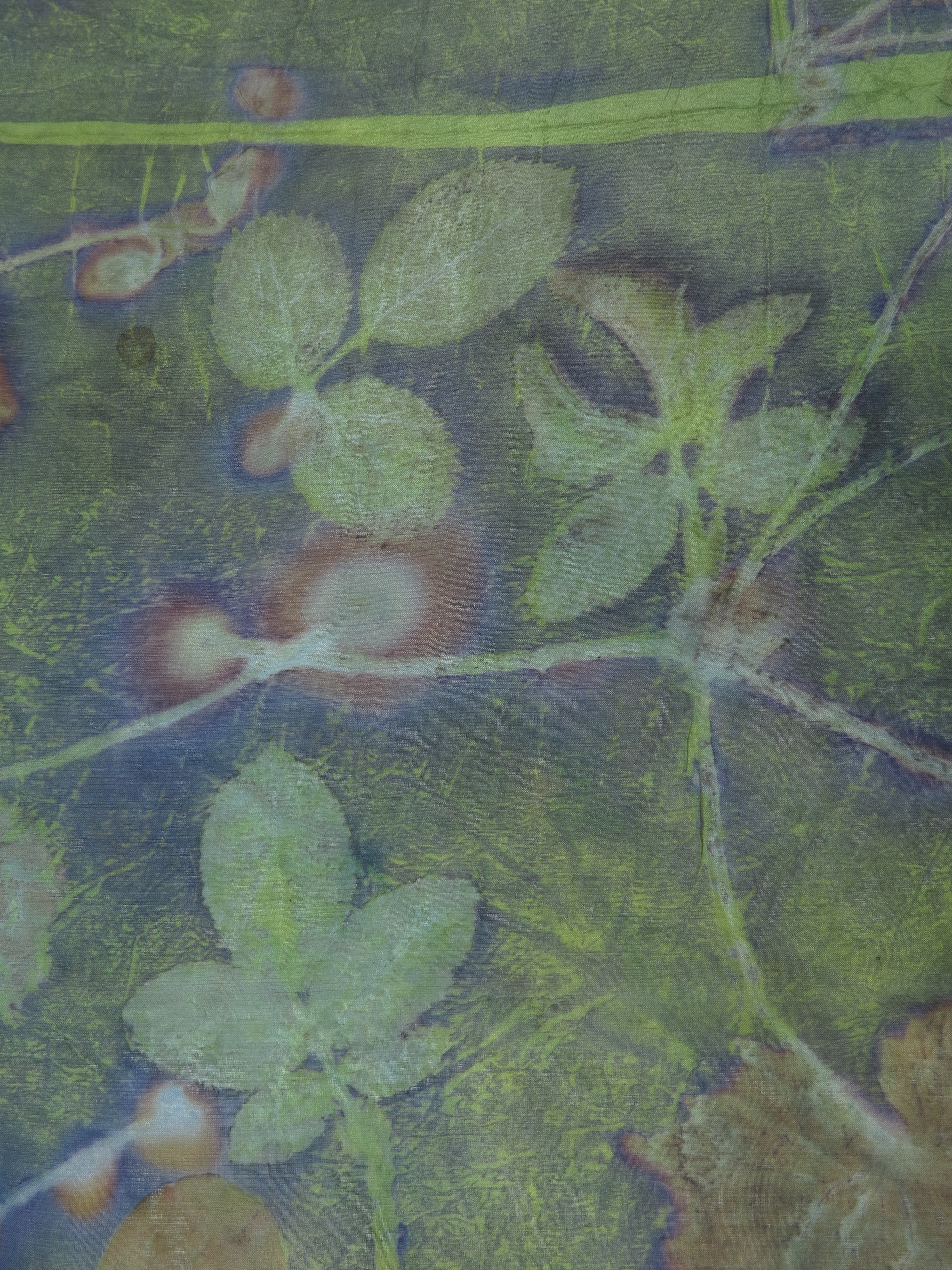 Groen EcoPrint kleur