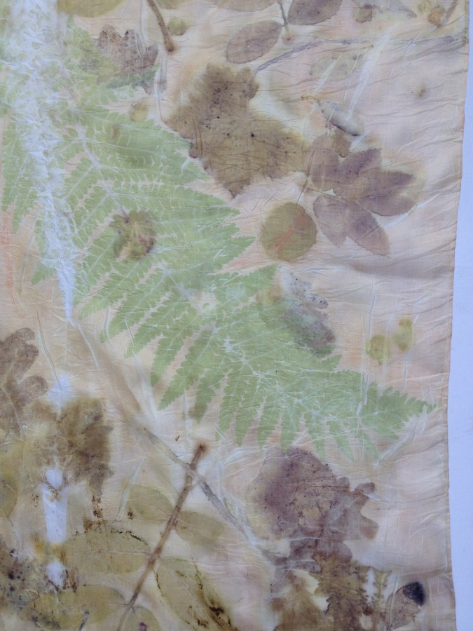 Botanical print fern