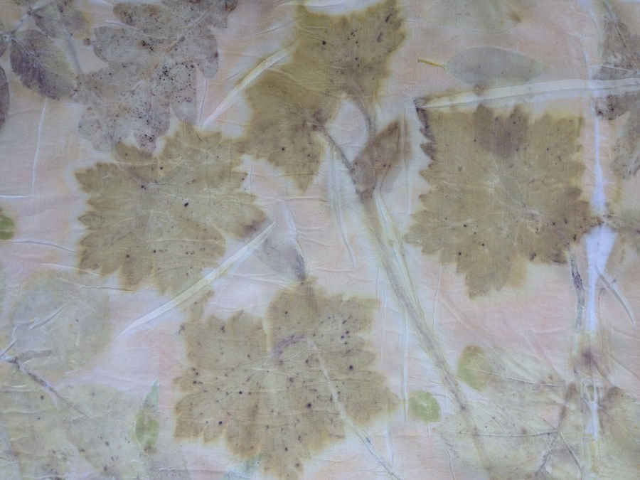 Geraniumbladeren ecoprinten