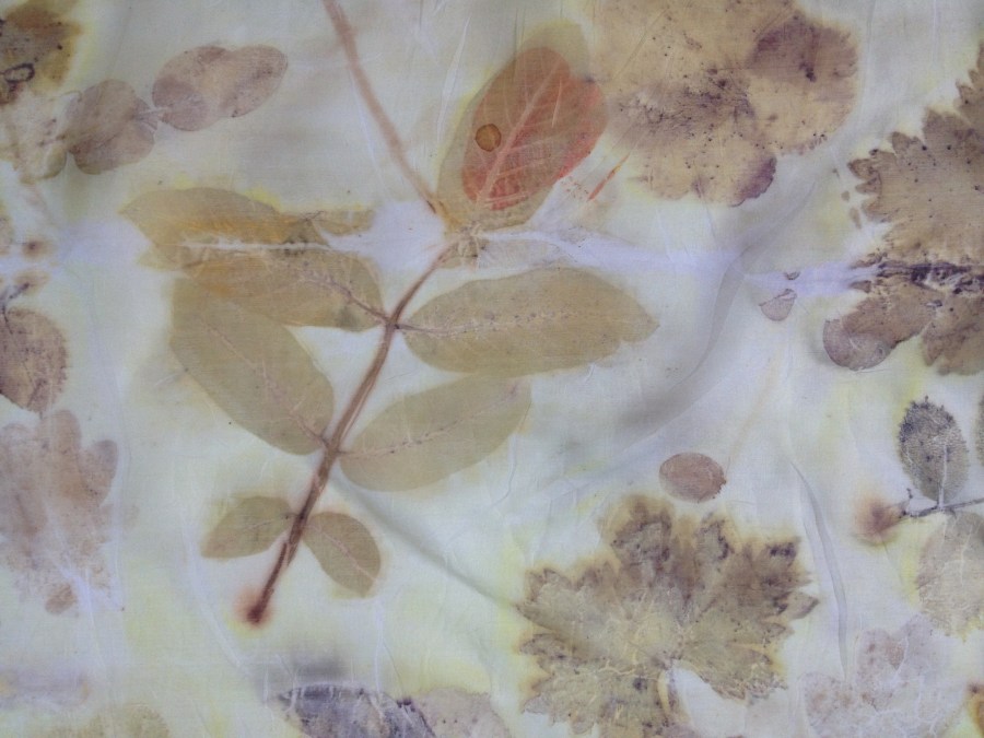 walnootblad printen op zijde