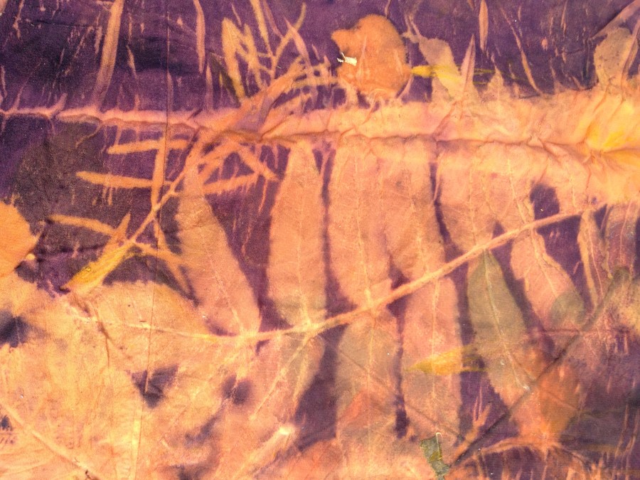 Ecoprint natuurlijk verven cochenille