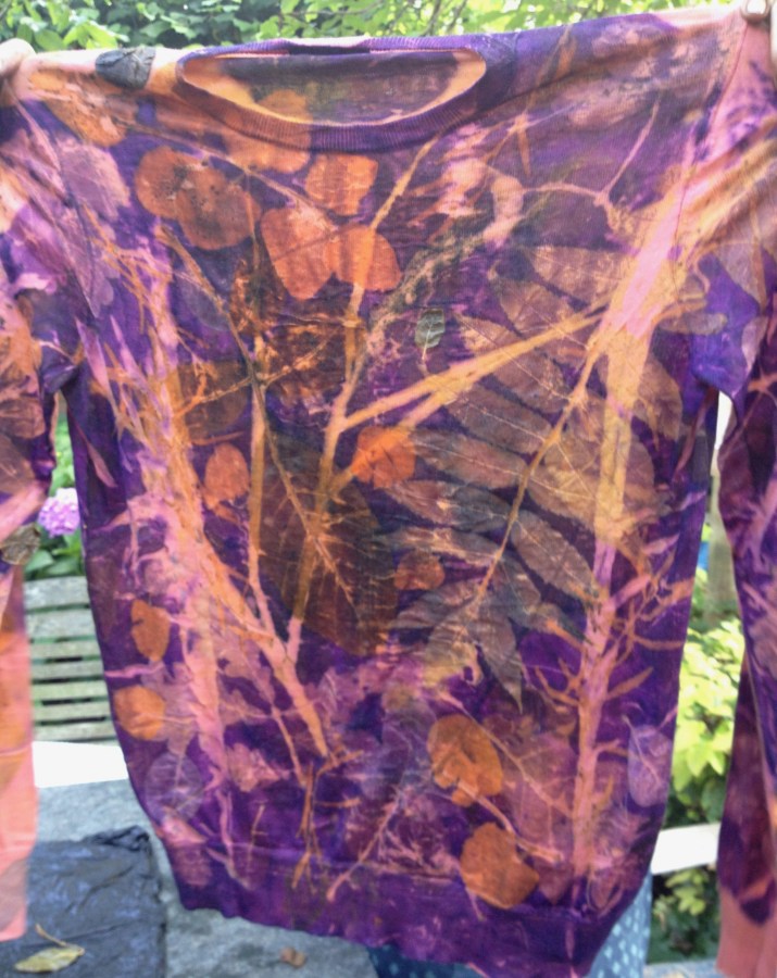 Ecoprint trui cochenille blauwhout