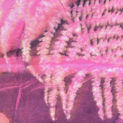 Ecoprint Cochenille zijde