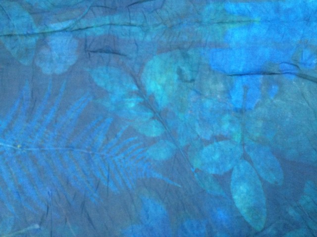 indigo dye natuurlijk verven blauwe planten