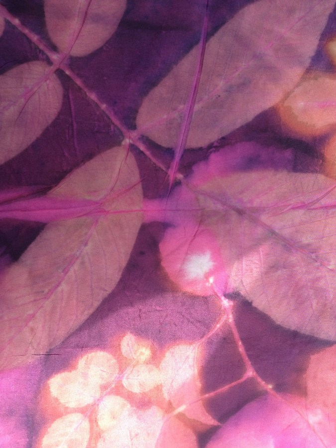 Ecoprinten natuurlijk verven cochenille