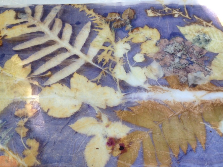 ecoprint titanium oxalate