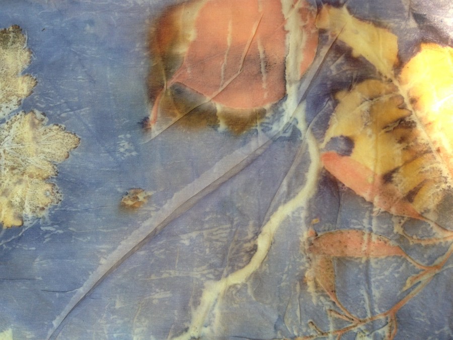 logwood blanket blauwhout deken