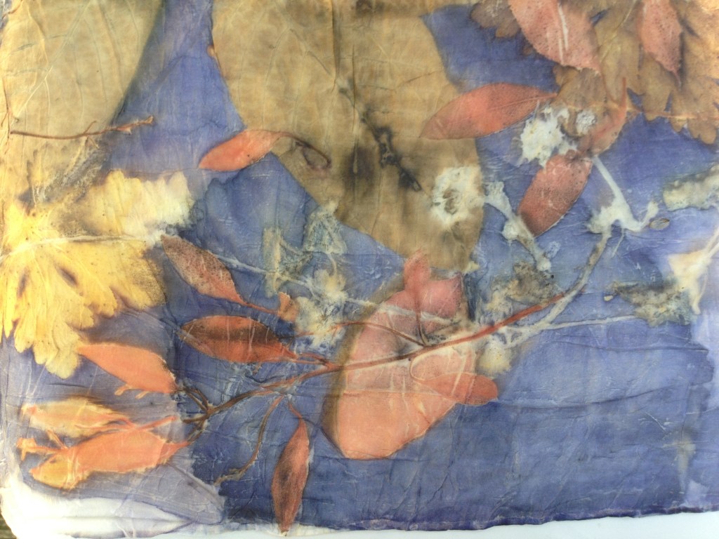 EcoPrint indigo blauwhout workshop