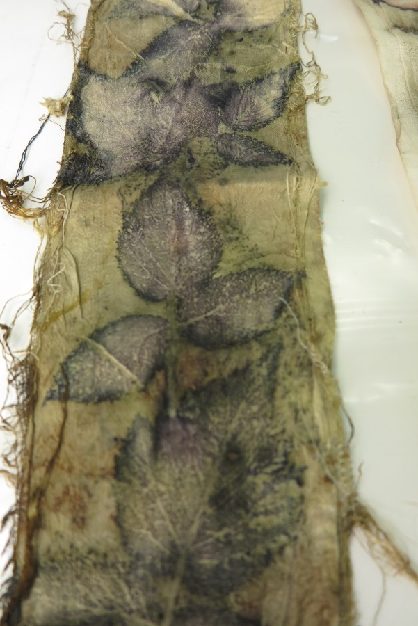 EcoPrint ijzer azijn oplossing