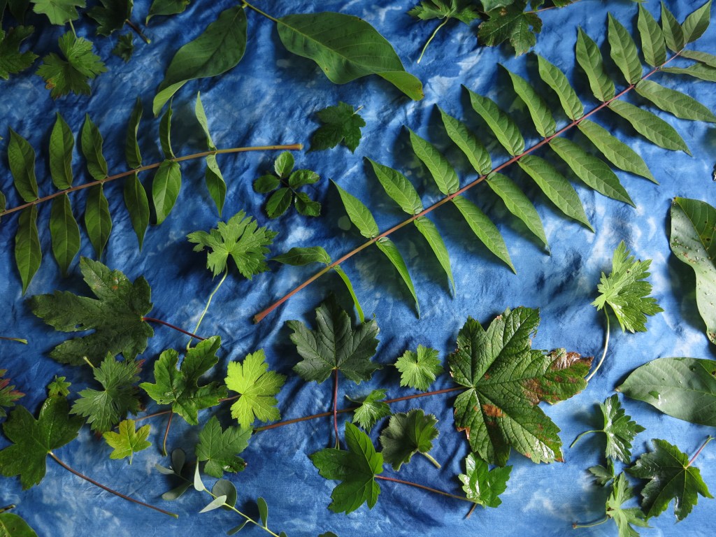 workshop indigo blauwhout