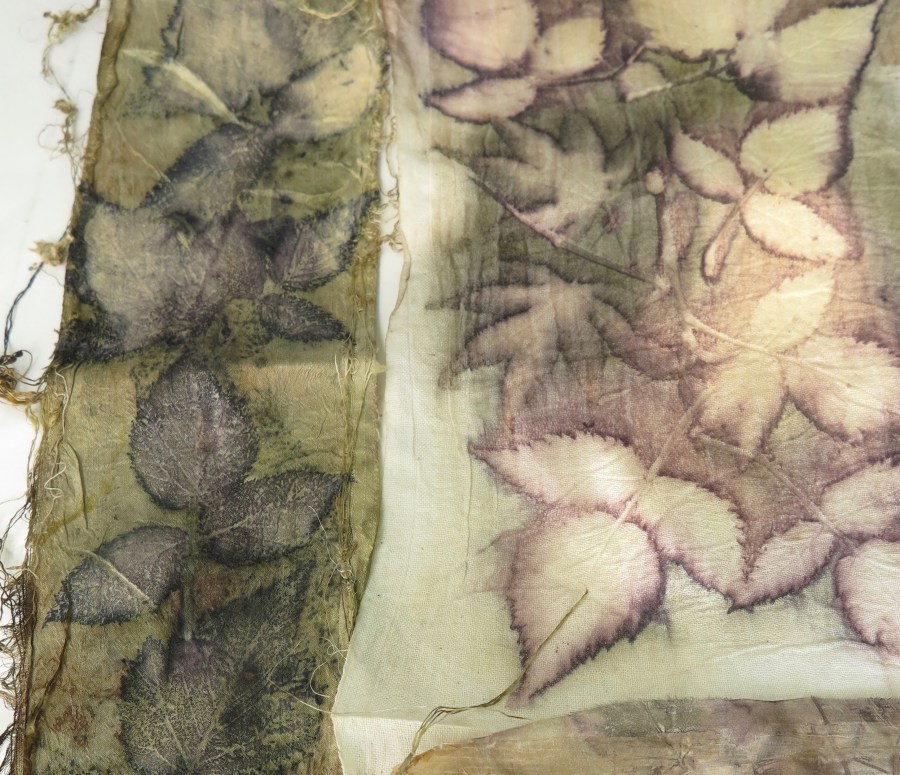 EcoPrinten randen bladeren