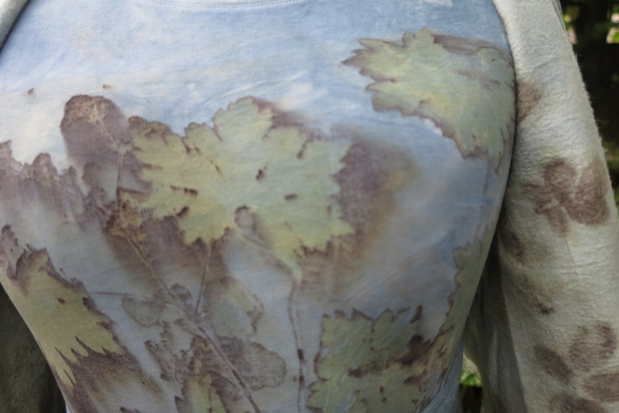 indigo soja geranium