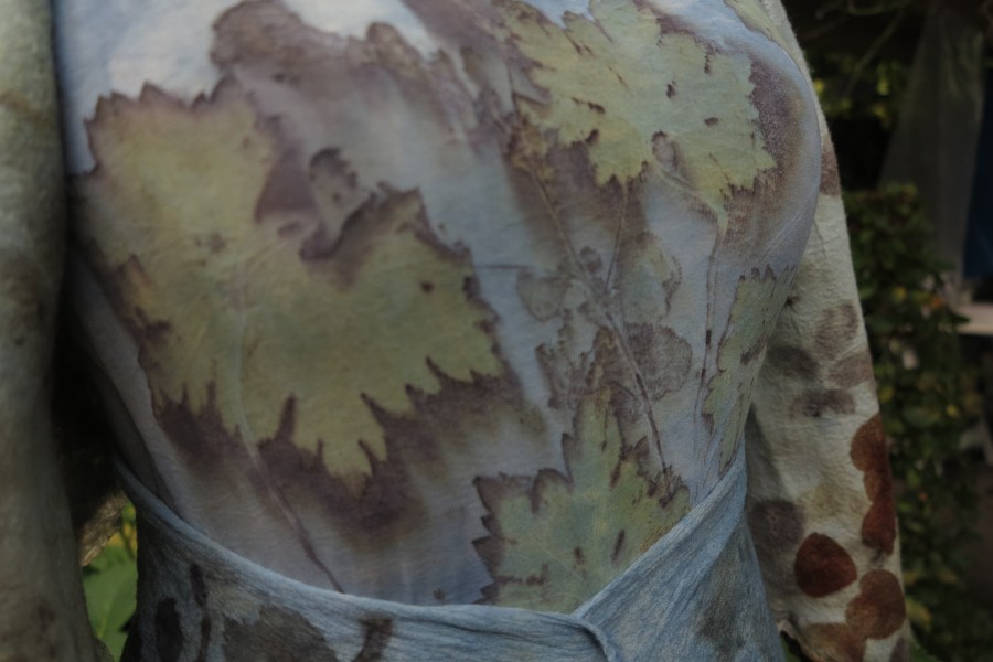 Indigo soja geranium