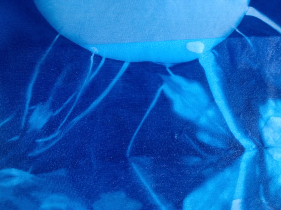 Indigo Shibori