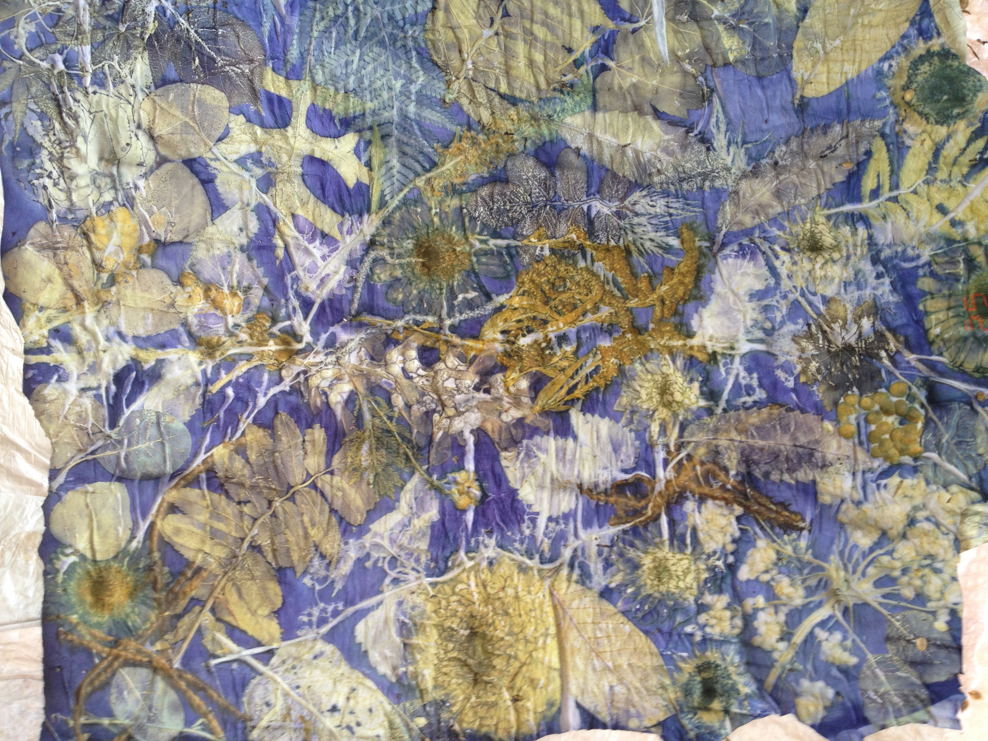 EcoPrinten Leer Blauw