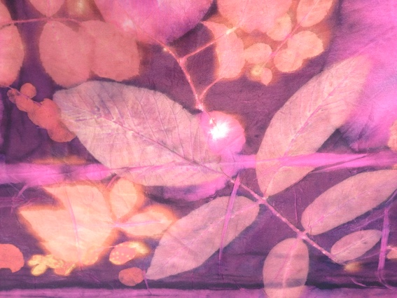 Cochenille verven zijde