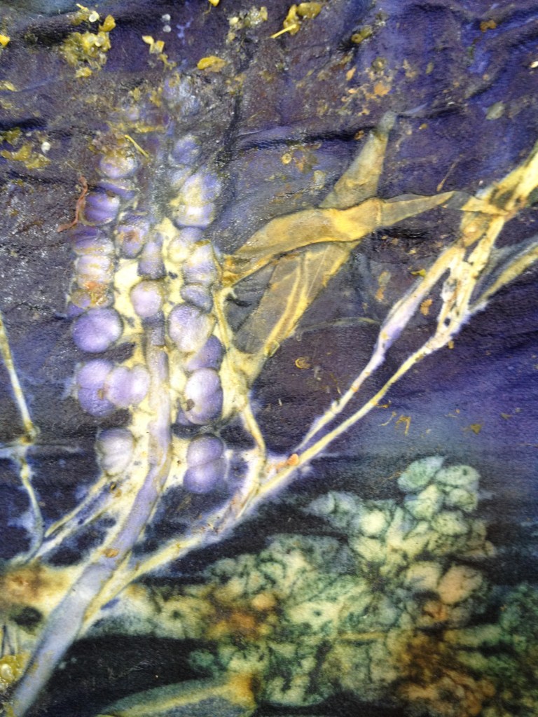 Ecoprinten leer blauw