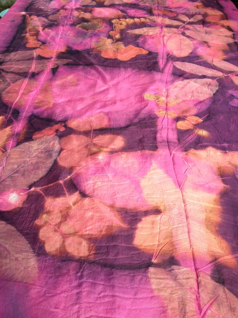 Workshop Ecoprint Cochenille